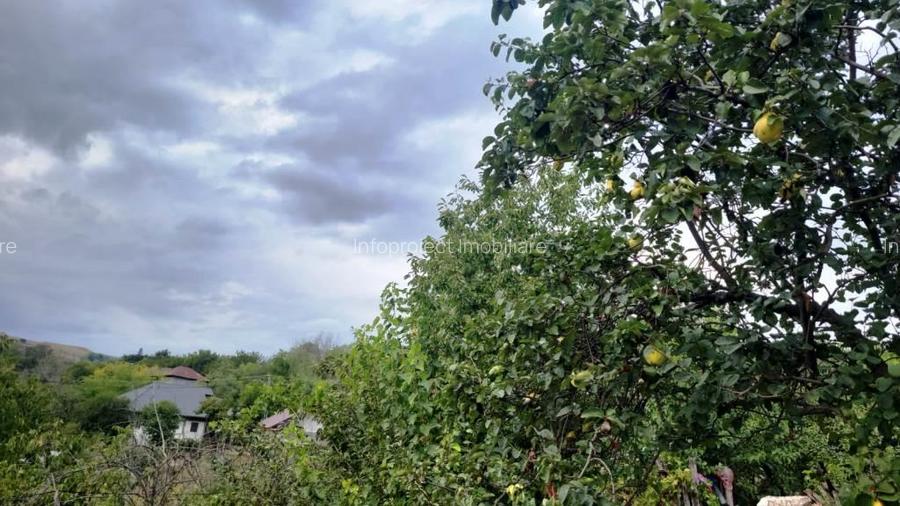 Proprietate în zonă de deal în localitatea Zărnești, la 20km de orașul Buzău - 3