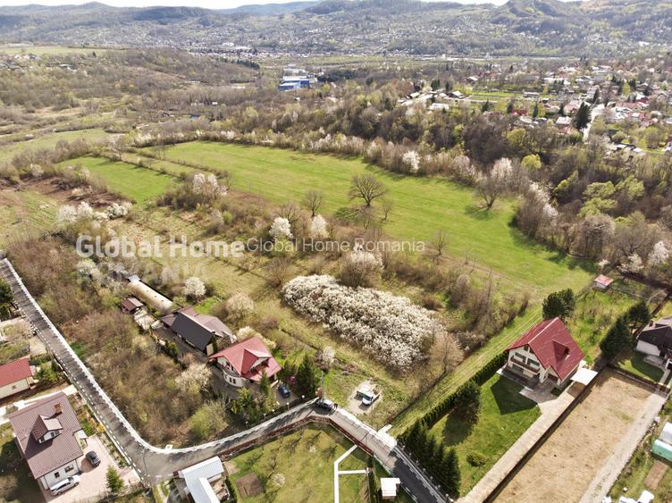 Mountain Plateau - 23.345 SQM - Exclusive Estate | Jud Prahova - Valea Prahovei - 5