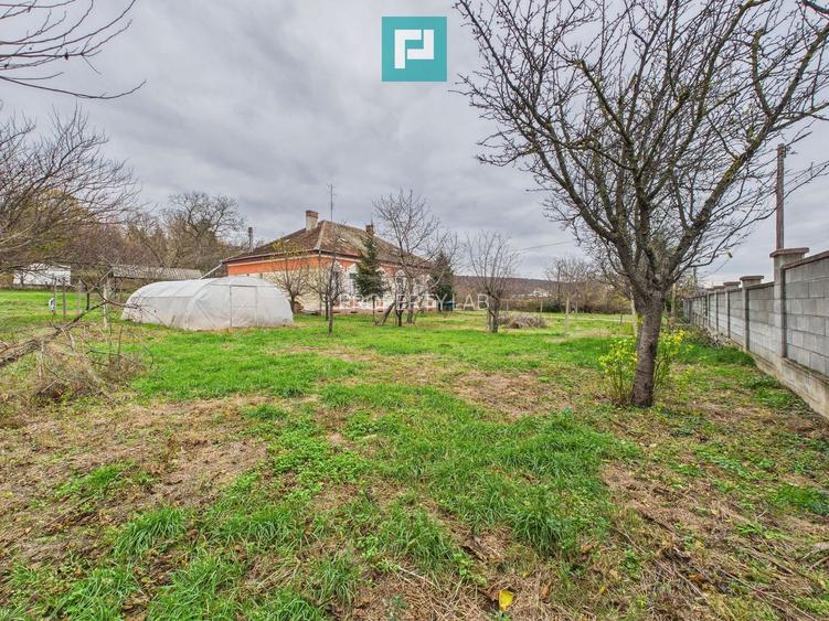 CONAC IMPRESIONANT ÎN GHIOROC - 56