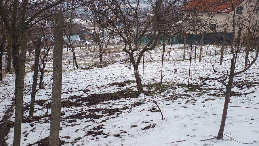 Teren intravilan 704 mp, acces asfaltat, priveliste Padurea Breazu - 12