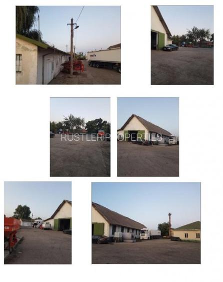 Proprietate multifunctionala cu hale si teren intravilan, Lehliu Gara - 4