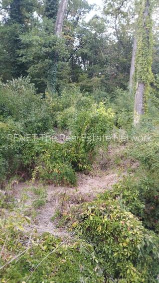 SUPER  OCAZIE TEREN 4000MP DE VANZARE IN SNAGOV CU DESCHIDERE LA LACUL SNAGOV - 9