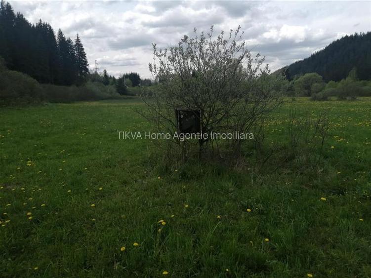 Teren intravilan in Gheorgheni, zona Km 4 - 4