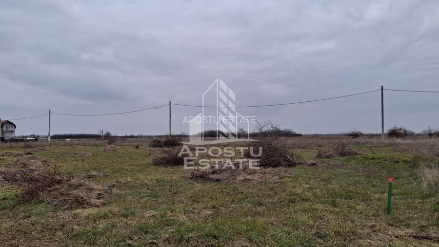 Teren intravilan 500mp Mandruloc - 4