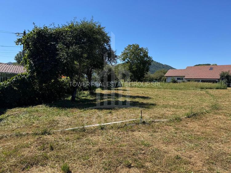 4 Parcele de vanzare | Rasinari - 5