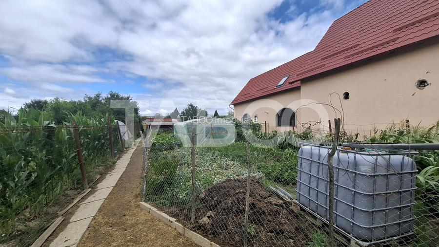 Doua case la pret de una teren 900 mp zona Turnisor - 13