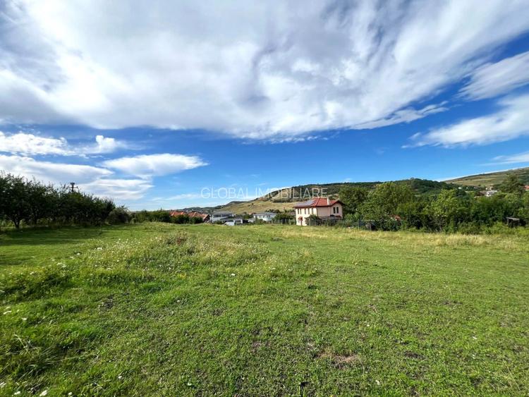 Teren Autorizabil Constructii, 1055 mp. Centru Chinteni 21 Decembrie - 4