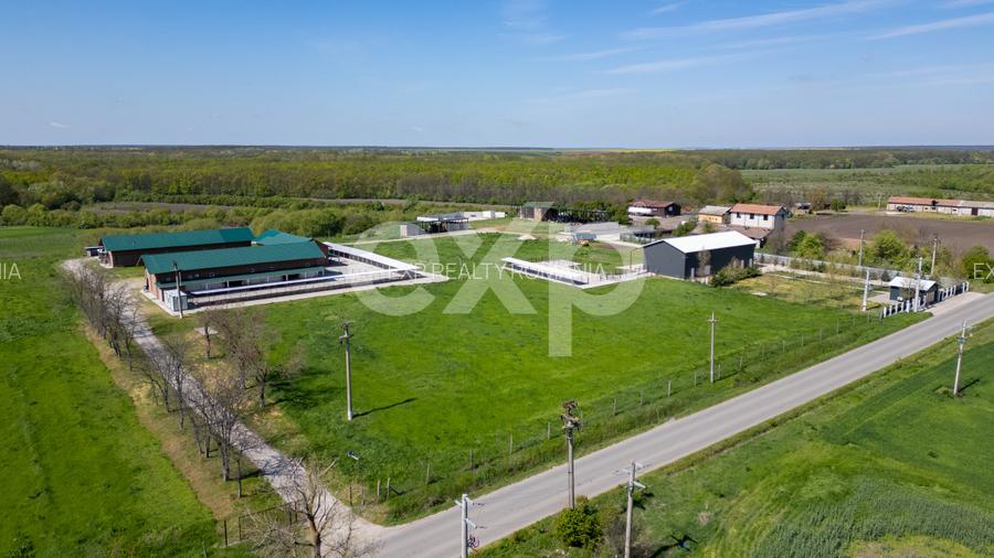 Black Angus Farm with authorized Slaughterhouse - 8