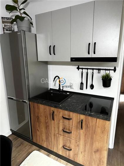 Vanzare casa de vacanta  DELTA DUNARII sat Partizani - 6