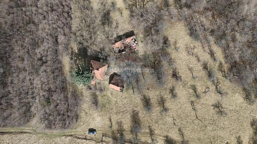 10.51 Euro + TVA / mp: Teren Bran Predelut, 24.253 mp, intravilan - 4