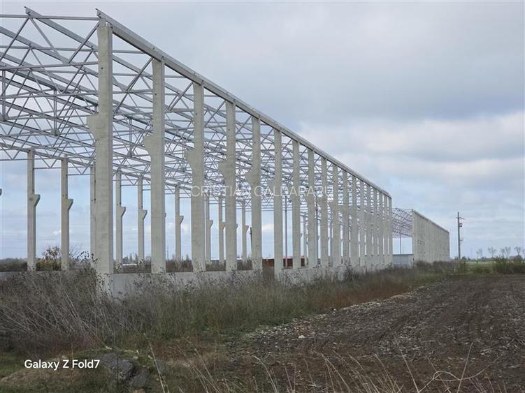 Inchiriere depozit/hala/spatiu industrial Mogosoaia - Buftea - 2