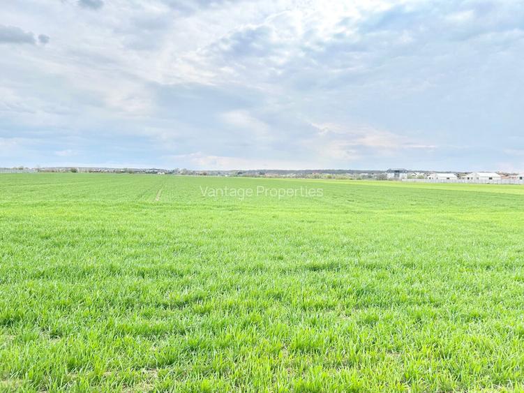 Teren intravilan 4657 mp, deschidere 30 ml, Ostratu, strada Lotusului - 5