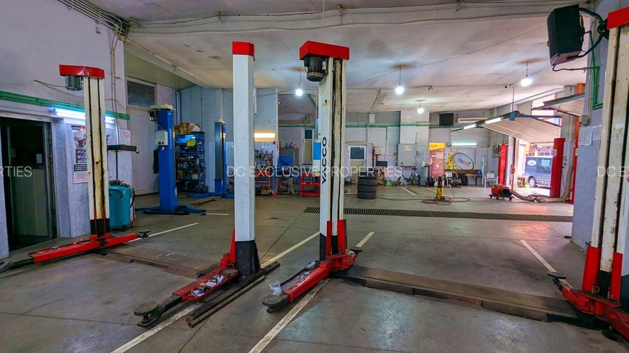 Teren 486 MP I Dubla Deschidere I Brancoveanu - 12