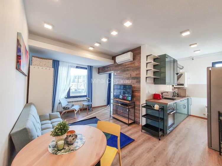 Ap 2 Camere Premium Herastrau - 1 Bedroom apt - Herastrau - 16