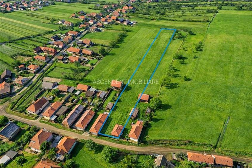 Film! Pe aproape 3.000 mp, casuta traditionala, Mereni, Covasna - 6