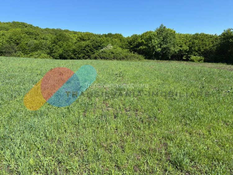 Teren Extravilan de 2.900 mp la Limita Intravilanului – Popești, Cluj - 4