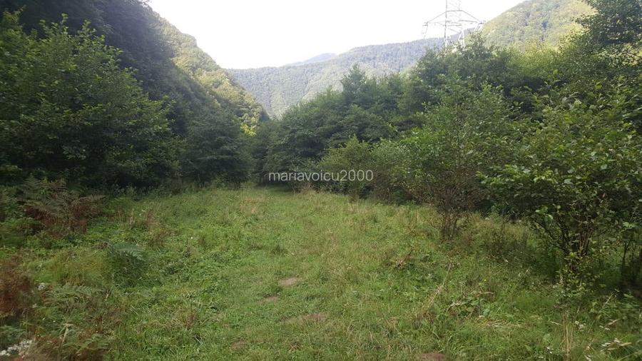 Poiana Prințului Rudolph : Teren de 2834  mp Munții  Retezat - 8