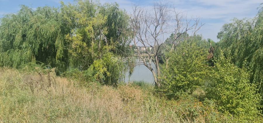 Teren Corbeanca Tamasi vsv de Paradisul verde 16000 mp deschidere lac - 4