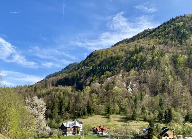 Teren panoramic insorit, utilitati, panta mica si padure, turism sau vacanta - 10