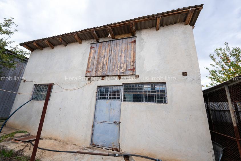 Gospodarie de vanzare in Tulucesti - 10