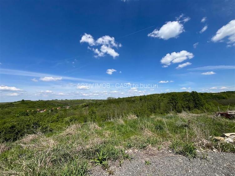 Lugoj Teren  8.200 Mp., Dealul Viilor, Priveliste Impresionanta - 5