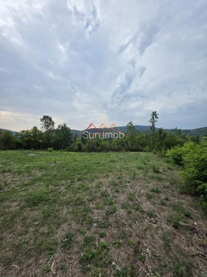 Teren Intravilan, utilitati in zona, 2600 mp, Draganeasa, Prahova - 3