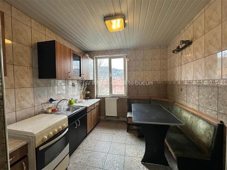 Resita, Apt. 3 cam.cf.1, semidec, Lunca - 11