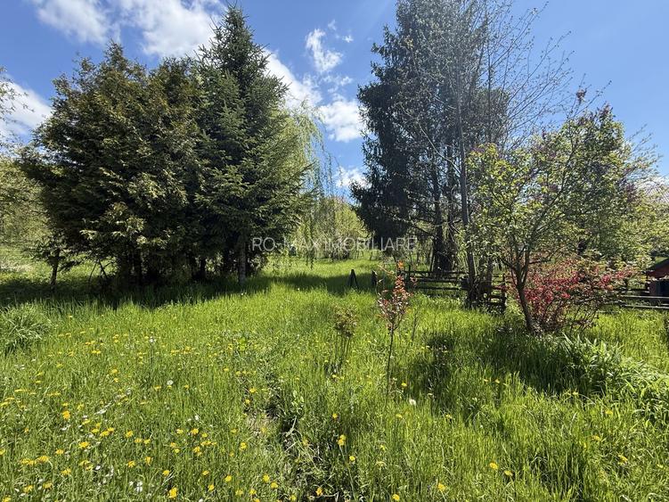 Casă parter+mansarda 100mp + beci, cu teren intravilan 1400 mp - 29