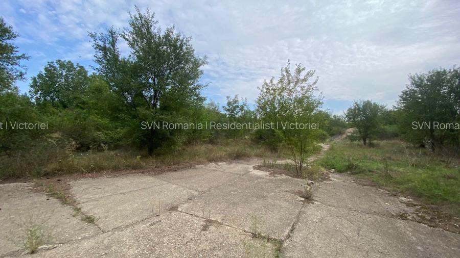 REL4001019 Teren 10 ha langa Kaufland si Crevedia Retail Park - 6