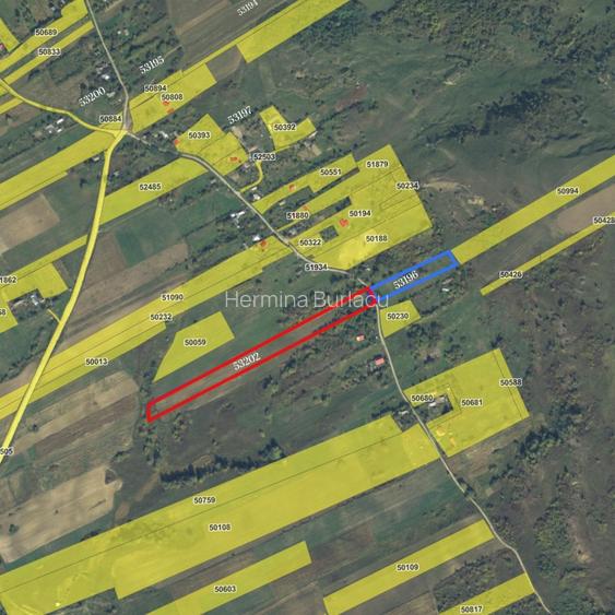 Pachet terenuri edificabile+agricole ,3ha, utilitati, Bunghi Poienari - 4