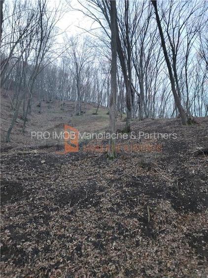 Teren intravilan zona Monteoru - 7