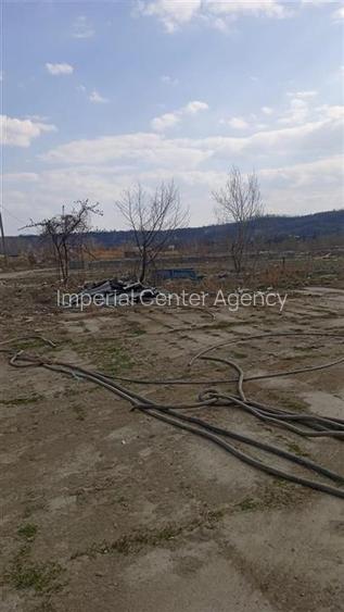 Teren intravilan 5,9 ha compact, platou cu utilitati   ptr.bussines -Hale, Depoz - 2