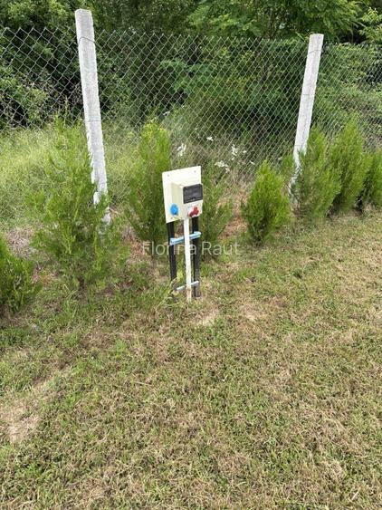 Vând 5000m pătrați teren,intravilan și extravilan.  - 7