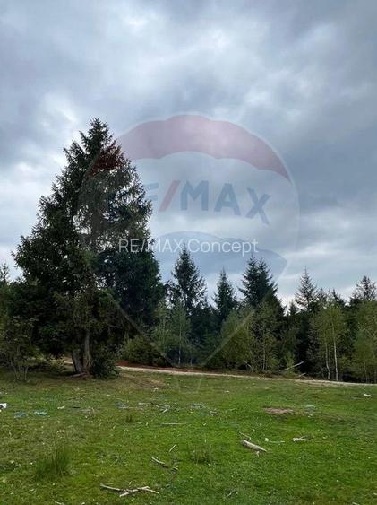 Teren extravilan parcelabil Călățele Pădure, zona Dealu Negru - 8