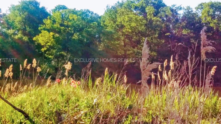 Vanzare vila Corbeanca - 26