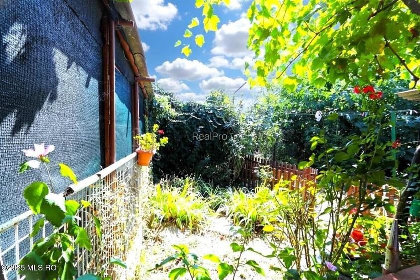 Palazu Mare - Strada Gheorghe Baritiu 16, casa cu teren de 680 mp! - 32