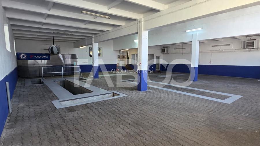 Spatiu industrial de 300 mp de inchiriat in Sebes Alba - 9