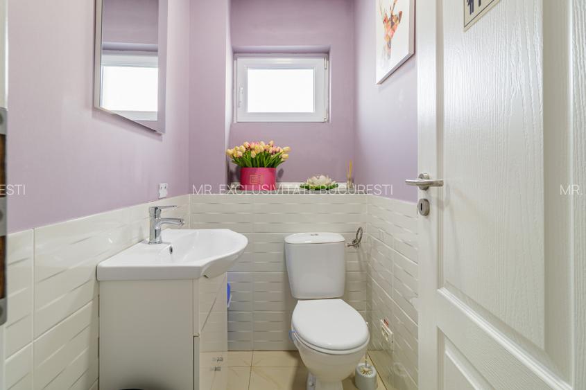 Vila spectaculoasa Snagov - Lac - Rezidential sau Comercial - 32