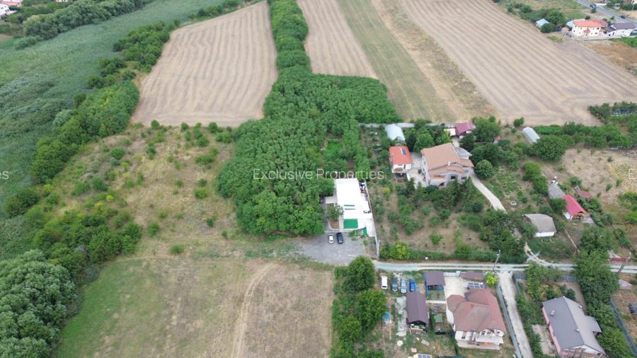 Casa de vacanta / spatiu comercial de vanzare – Frumusani - 5