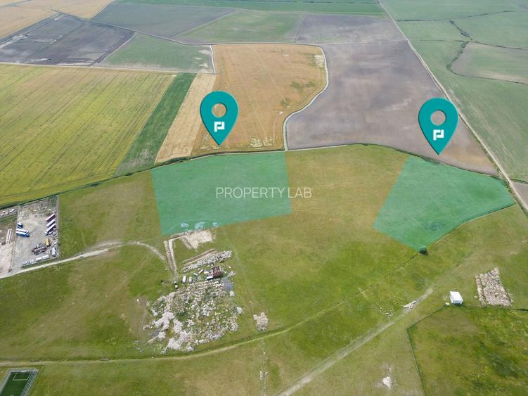 Teren intravilan de 29,970mp Sacalaz - 32