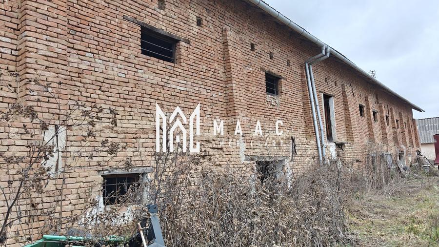 Teren intravilan I 5400 mp I Hale I Acces utilaje I Chirpăr - 3