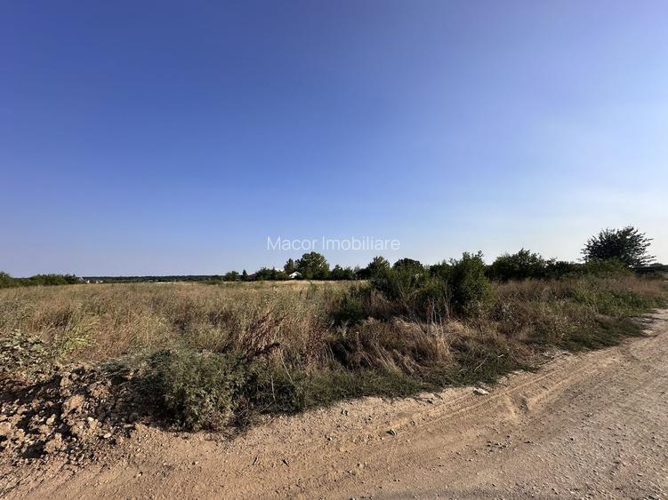 Teren Tancabesti intravilan iesire la lac Snagov - 8