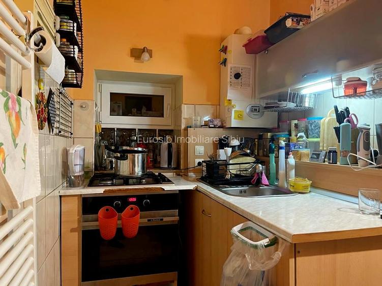 Casa individuala pe un singur nivel in Sibiu localitatea Cartisoara - 10