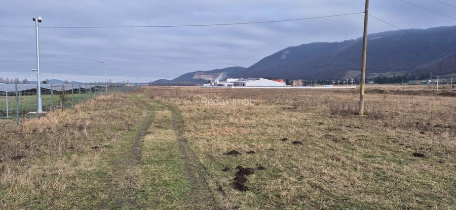 Teren industrial intravilan Brasov, langa Inna Schaeffler - 2