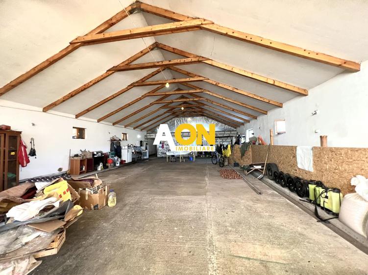 Ferma de vanzare cu 550MP utili si 27.500MP teren la asfalt