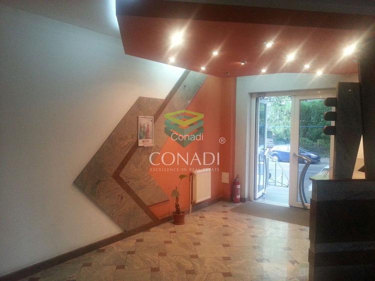 Birou de inchiriat // Domenii // Mihalache - 23