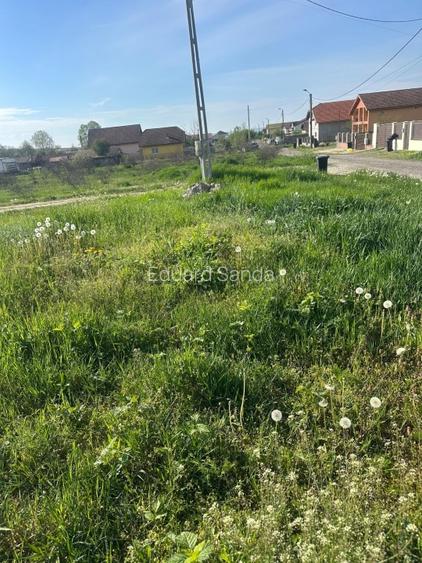 Teren de vanzare Târgu Jiu  - 5