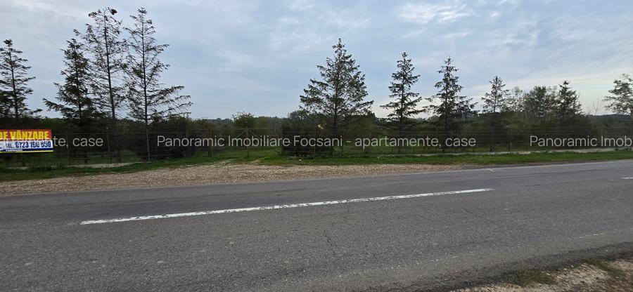 LIVADA  DE VANZARE FOCSANI-DUMBRAVITA  1,8  HA - 29