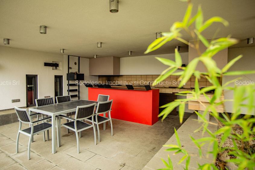 Vila deosebita Braytim - 28