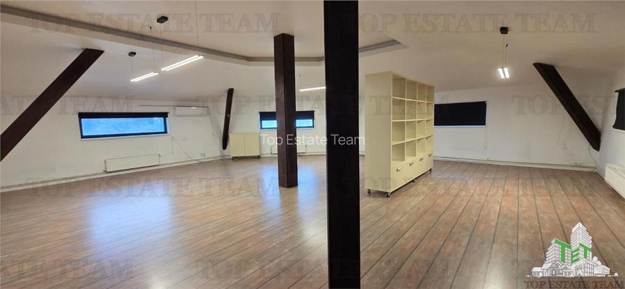 Casa individuala de vanzare - zona Domenii - 4